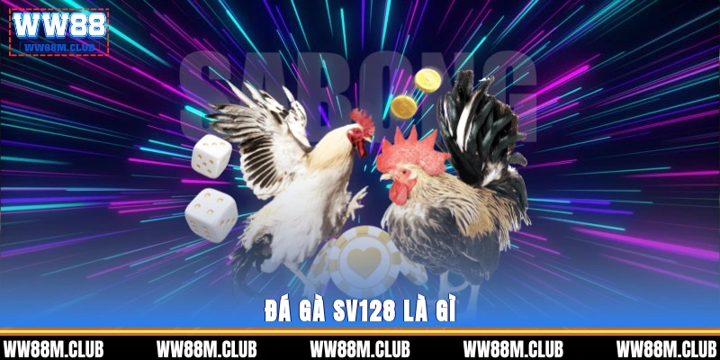 Đá gà SV128 là gì?