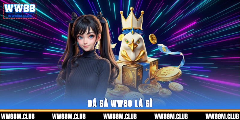 Đá gà WW88 là gì?