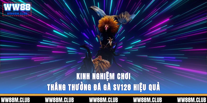 Kinh nghiệm chơi thắng thưởng đá gà SV128 hiệu quả
