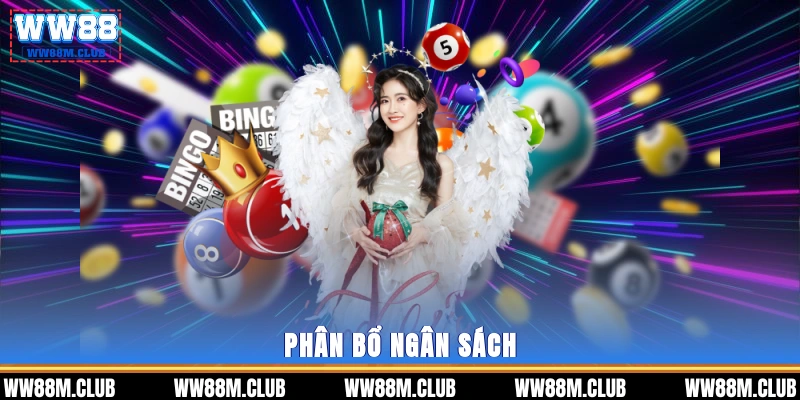 Phân bổ ngân sách 