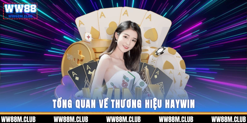 Tổng quan về thương hiệu Haywin