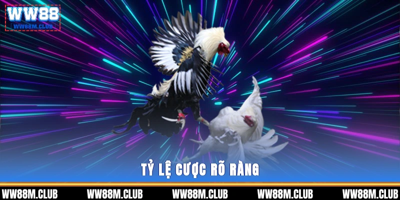 Tỷ lệ cược rõ ràng